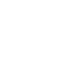 RevolutionVA white logo